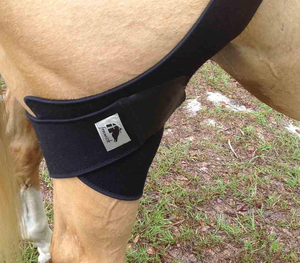 Liquid Titanium® Stifle Wrap - Fenwick Equestrian