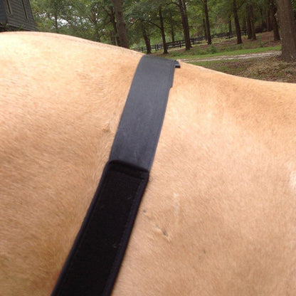 Liquid Titanium® Stifle Wrap - Fenwick Equestrian