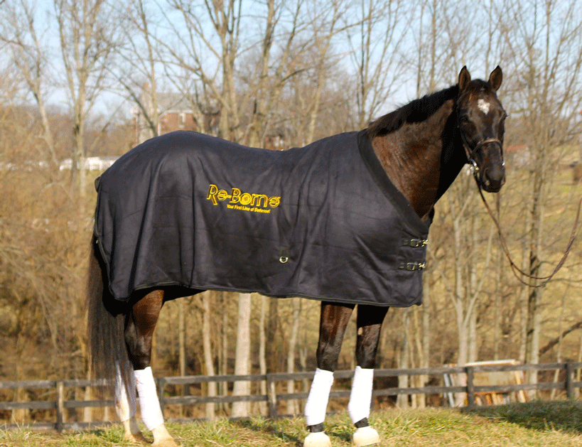 EquSuede Sherpa Fleece Blanket - Fenwick Equestrian