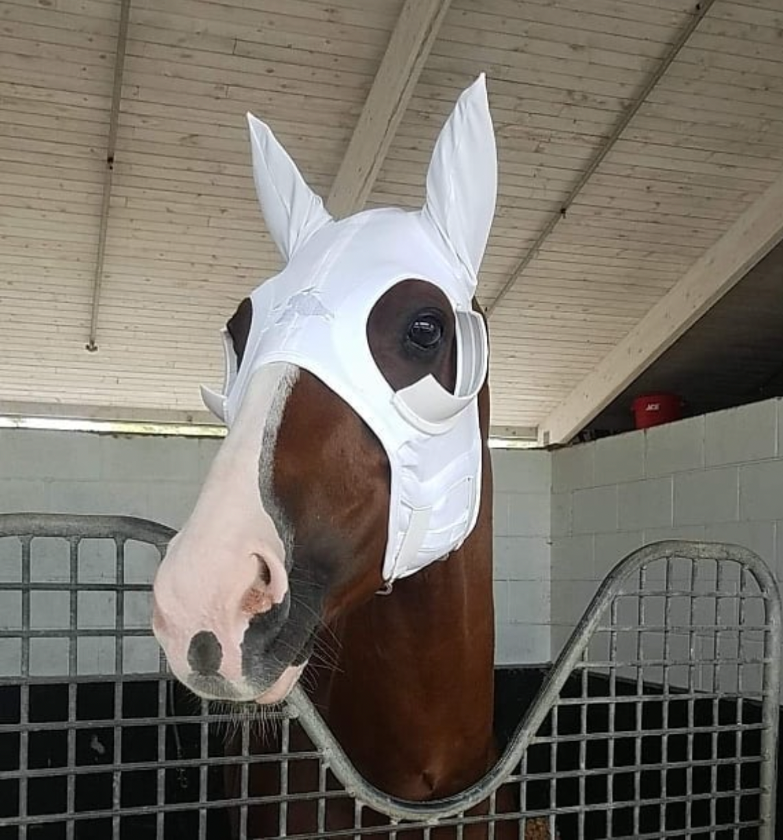 LT® Horse Mask with Blinker Cups