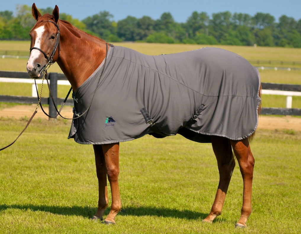 Liquid Titanium® Blanket / Stable Sheet - Fenwick Equestrian