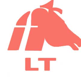 Embroidery- LT® Mask-Ear Bonnet