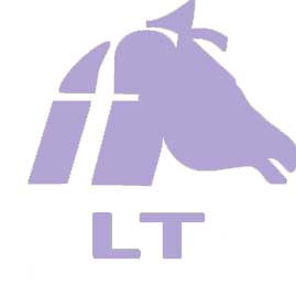 Embroidery- LT® Mask-Ear Bonnet
