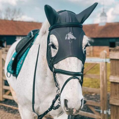 LT® Horse Mask Irregulars