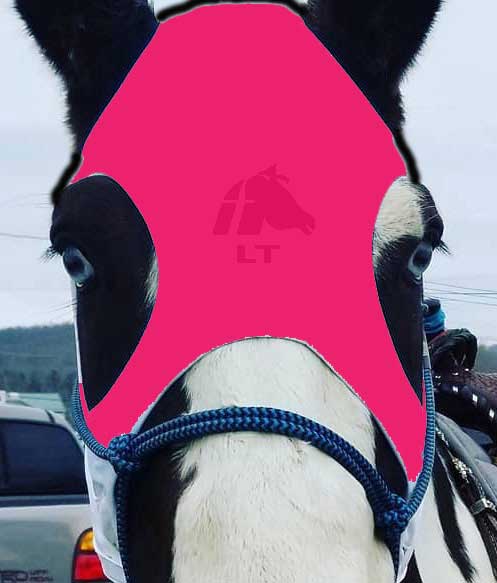 LT® Horse Mask
