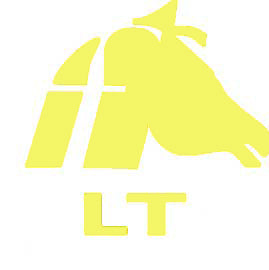 Embroidery- LT® Mask-Ear Bonnet
